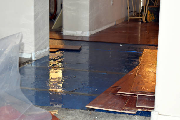 Professional Basement Flood Cleanup technician working in Lakeview, CA